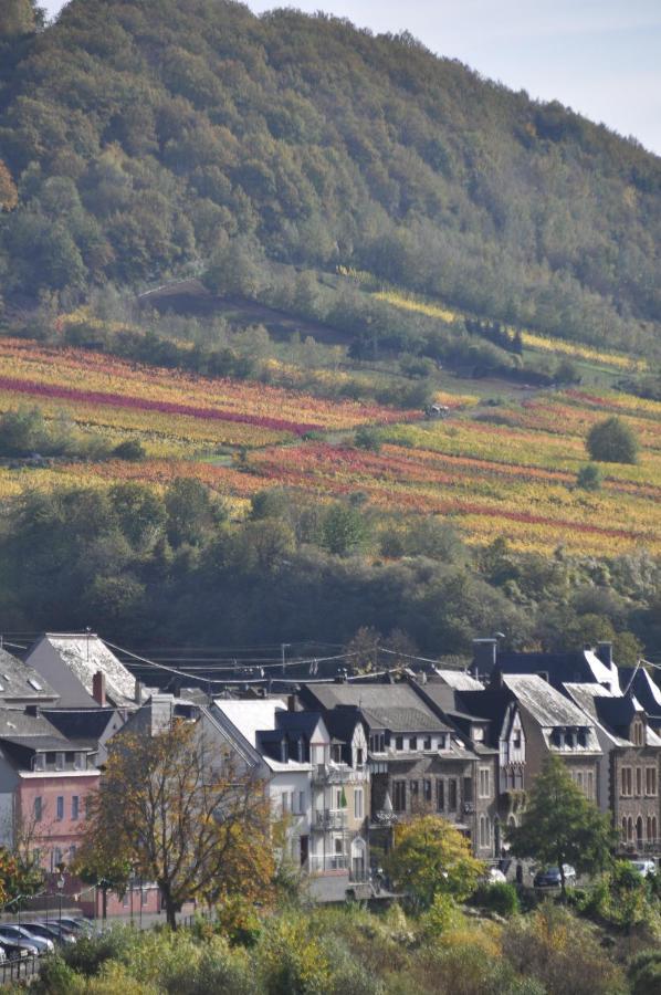 Gaestezimmer Im Weingut Amlinger&Sohn Neef Buitenkant foto