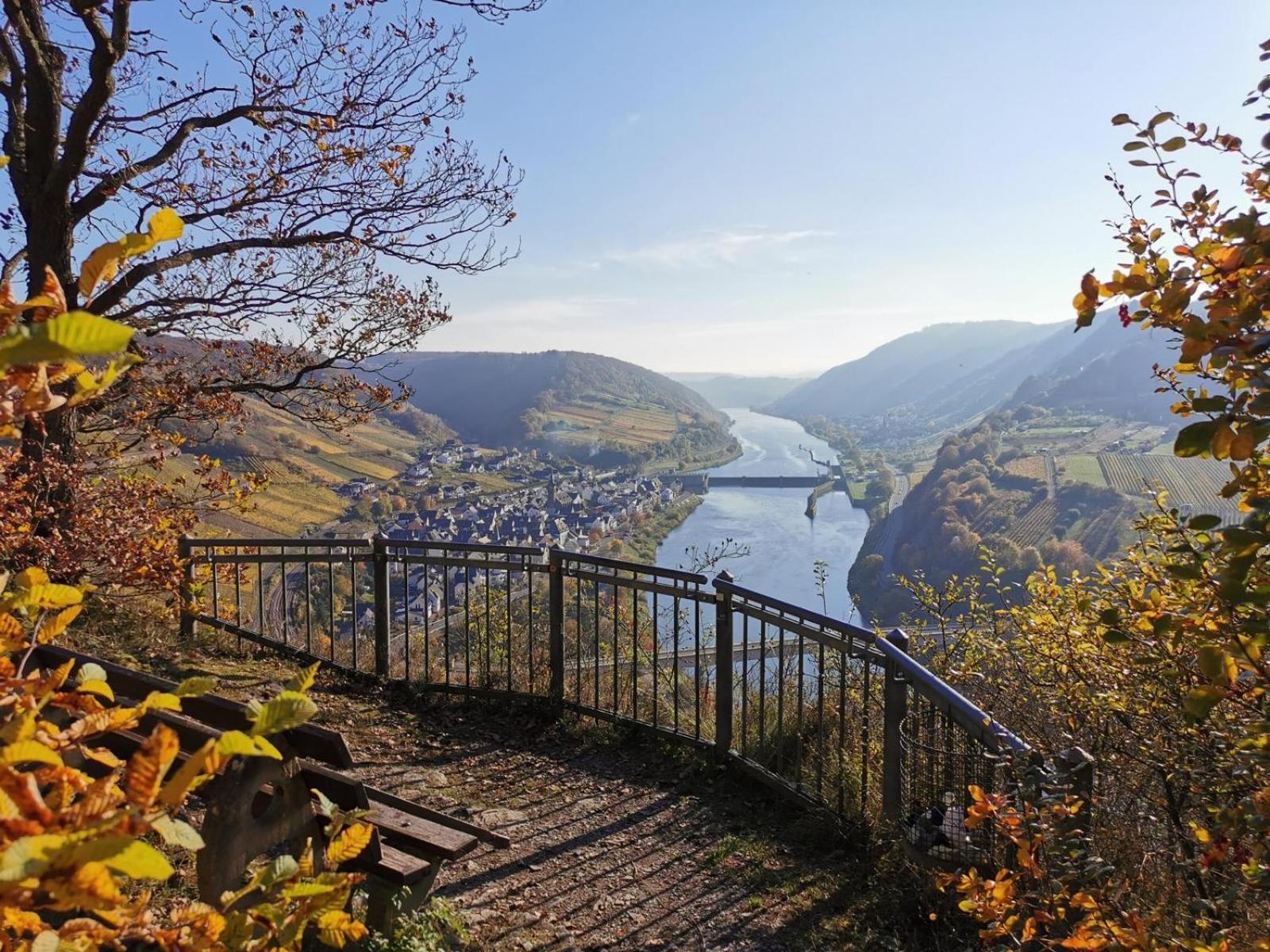 Gaestezimmer Im Weingut Amlinger&Sohn Neef Buitenkant foto