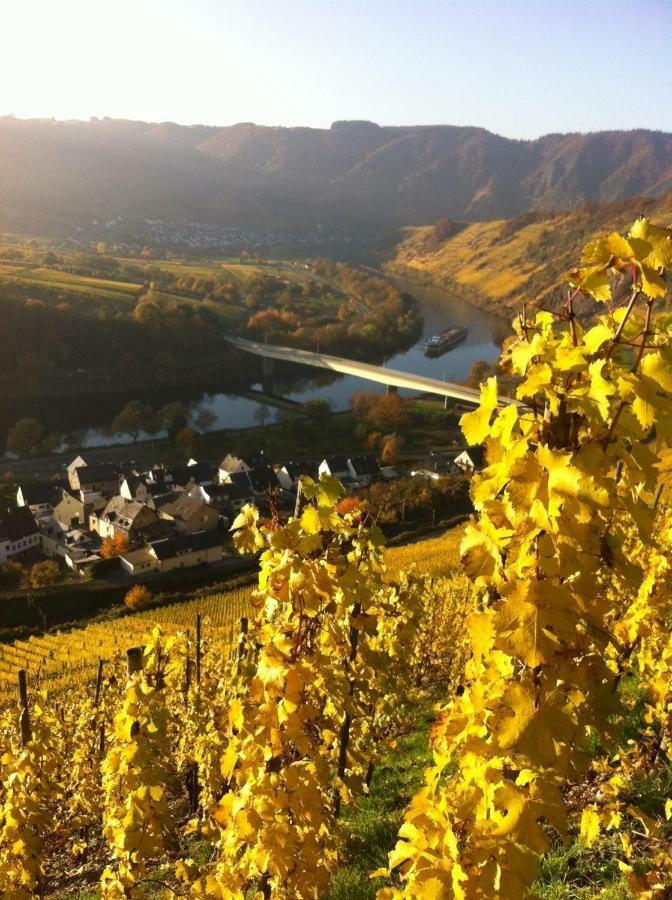 Gaestezimmer Im Weingut Amlinger&Sohn Neef Buitenkant foto